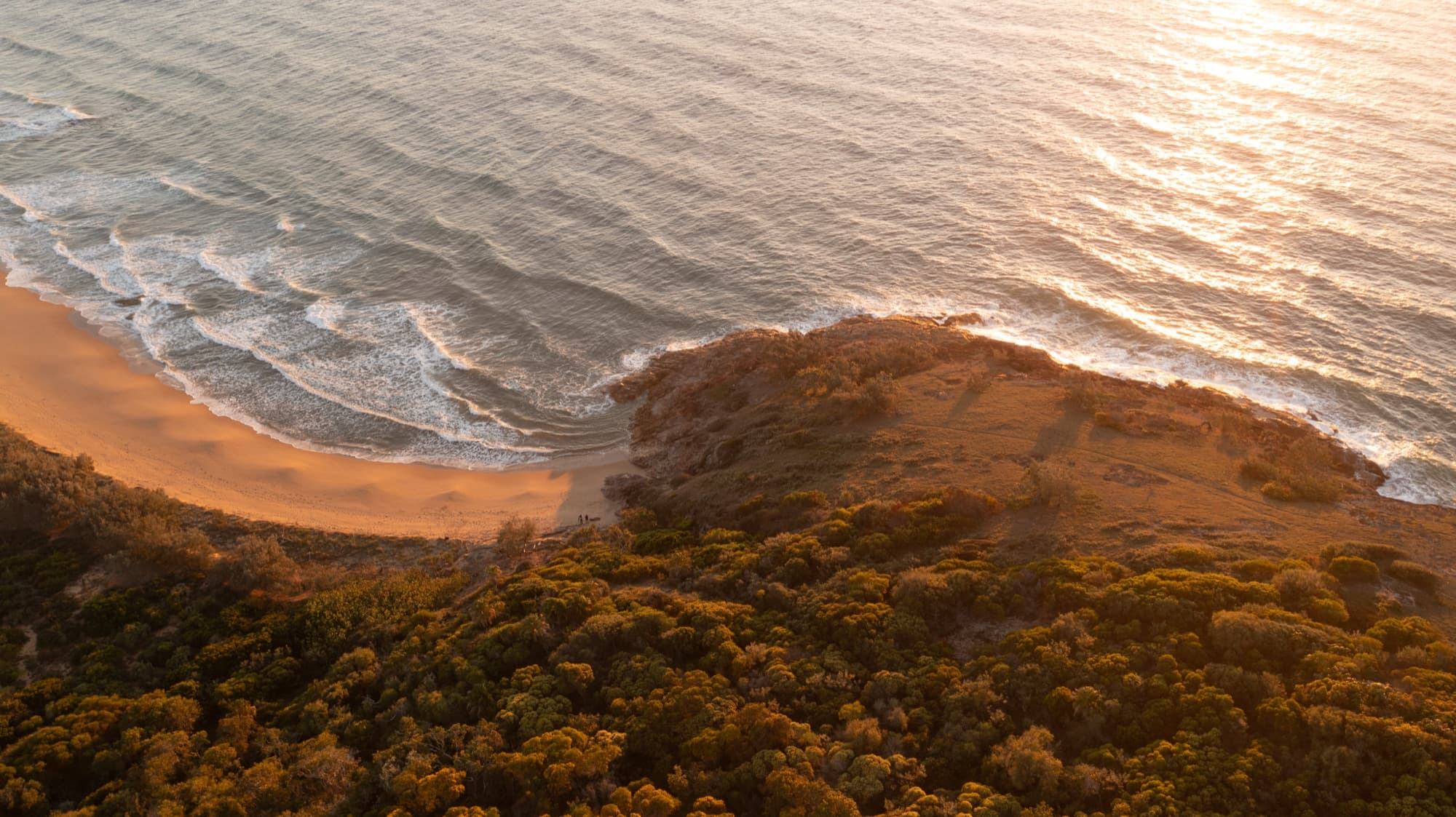 Dune, heath and forest meeting the sea